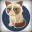 Steam avatar of Сердитый_кот
