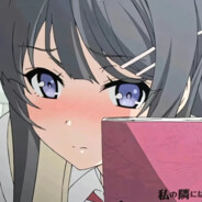 恋猫(我爱刘志文)