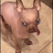 22岁未成年男枪