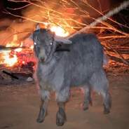 九十岁老头厚乳壮壮👵