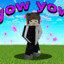 yowyow