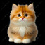 suppl1cate
