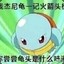 水到不行杰尼龟