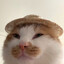 Herbert