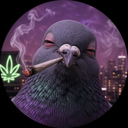 Dank Pigeon