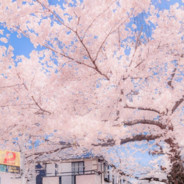 别让她孤立无援