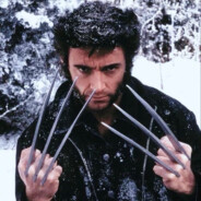 Logan The Wolverine