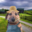 fuzzi_3324w