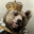 _Belka