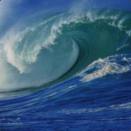 spirit - steam id 76561197960523431