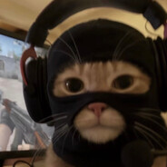 P Steam avatar