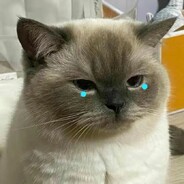 枪马你骂枪啊 骂我干嘛