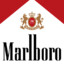 Marlboro