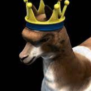 ~ INIV ~ RANDOM CIV ONLY