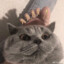 YATOROGOD