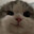 wqlff