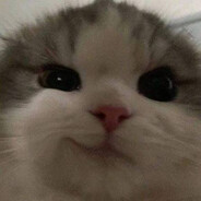 wqlff