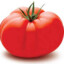 tomato with cancer