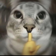 过家家就到此为止吧