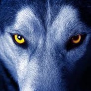 ✪ Lobo