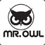 Mr.Owl