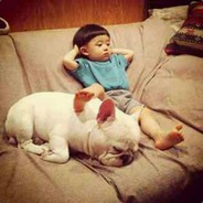 你的QQ农场跟你说：你菜死了