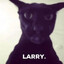 Larry le malicieux
