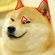 BOON: ONI'S GOOD PUPPY