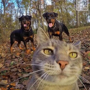 эмочка emok1d2007