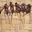 Yea I eat rats :)