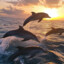 dolphin