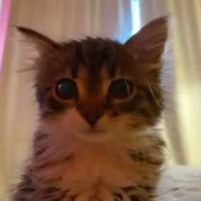 инет герой 228