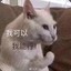 糖醋小排