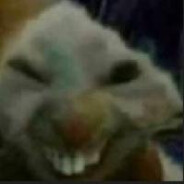 Junin SKINS avatar
