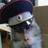 упал намоченный