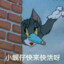 妇科圣手ZZ哥