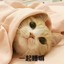 singhang