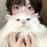 轻弹茉莉离别雨