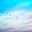faintest dream