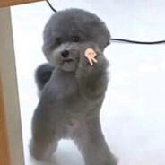 吻你左眼角的痣