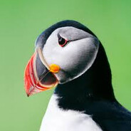 Puffin - steam id 76561198141050511