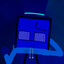 SQTheFunnyGuy