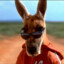 Kangaroo Jack