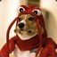 Lobster Doggo