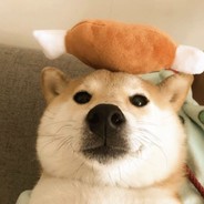 小母牛跳伞牛逼上天了