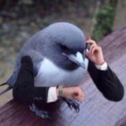 Птичий Ярик