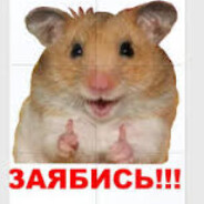 ВИТЯ ВОЙНОВКА 72