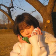 我真不是Winter的狗