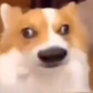 47岁游戏领域大师