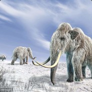 今夕寒夜了秋意